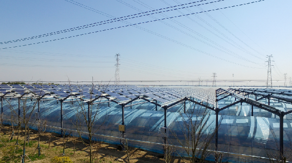 J9集团直营·(中国)官方网站