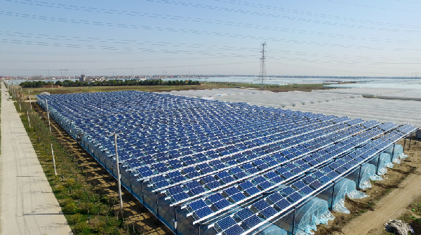 J9集团直营·(中国)官方网站