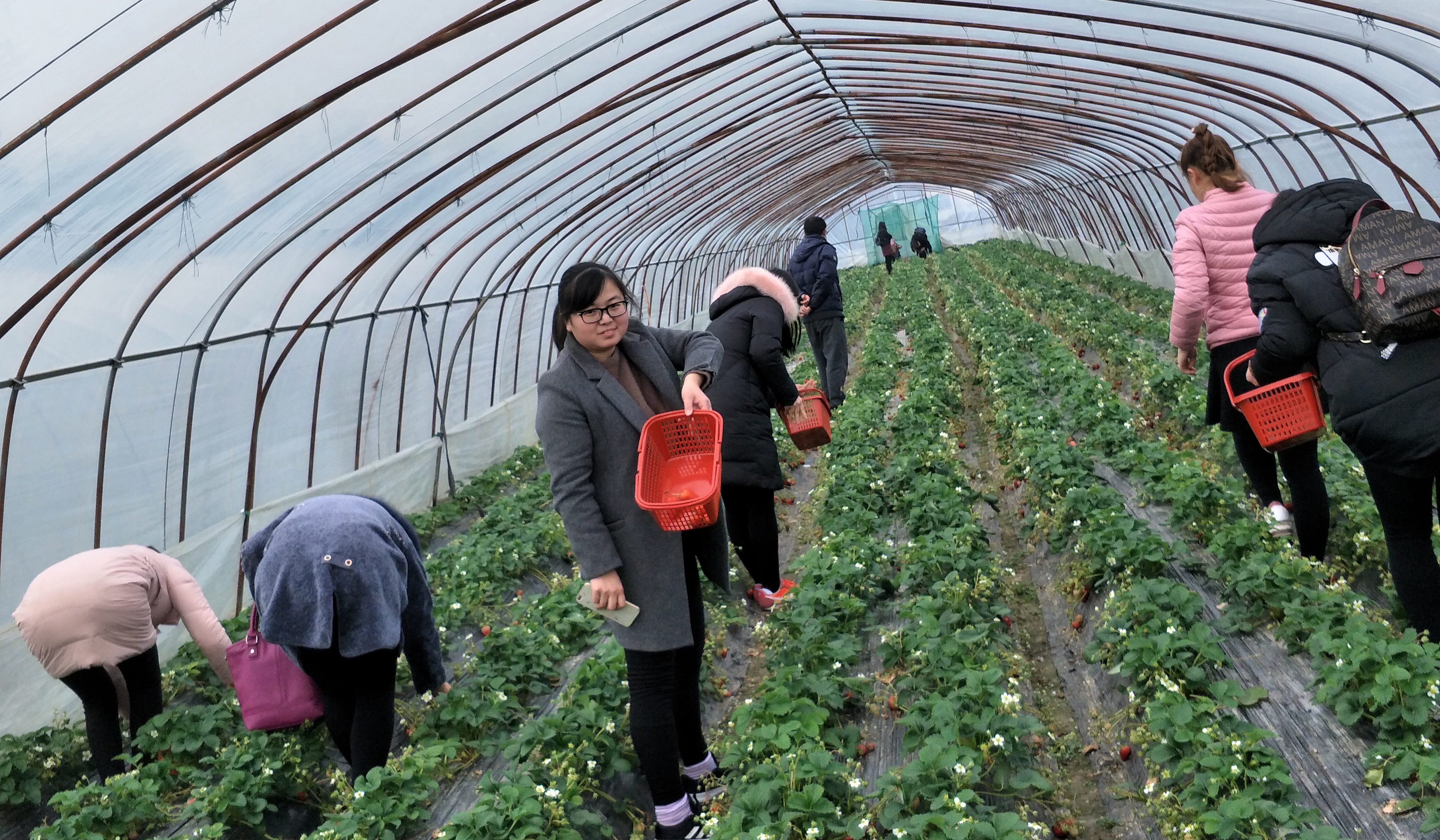 J9集团直营·(中国)官方网站