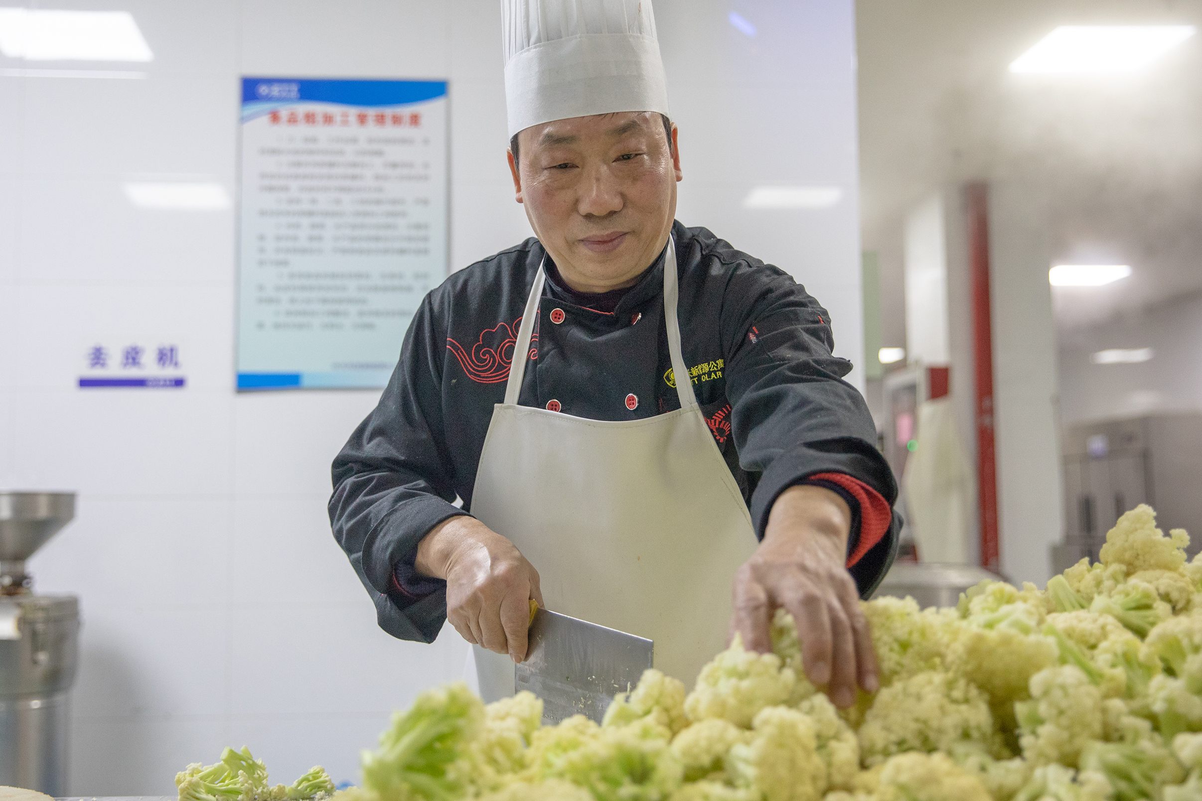 J9集团直营·(中国)官方网站