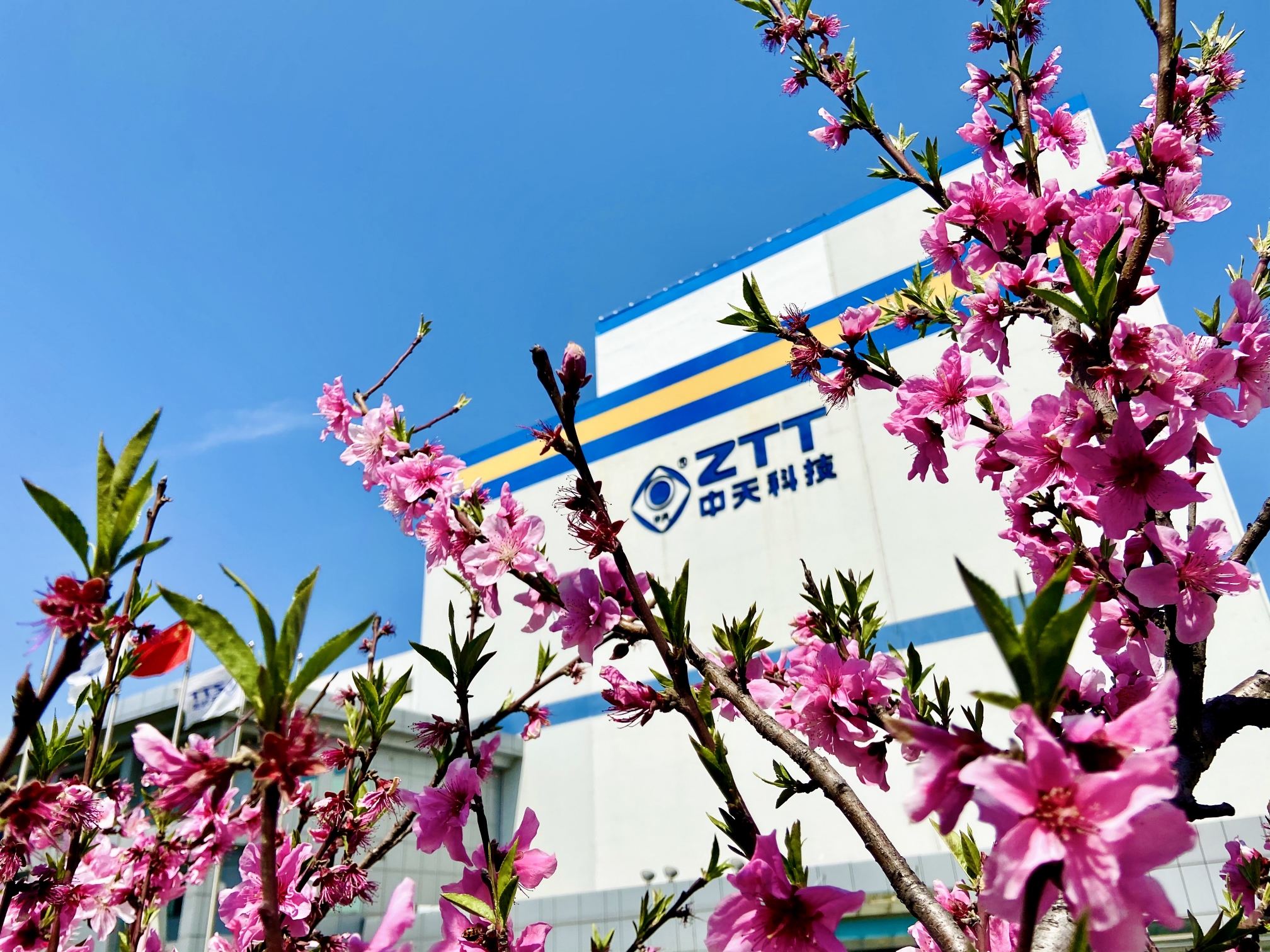 J9集团直营·(中国)官方网站