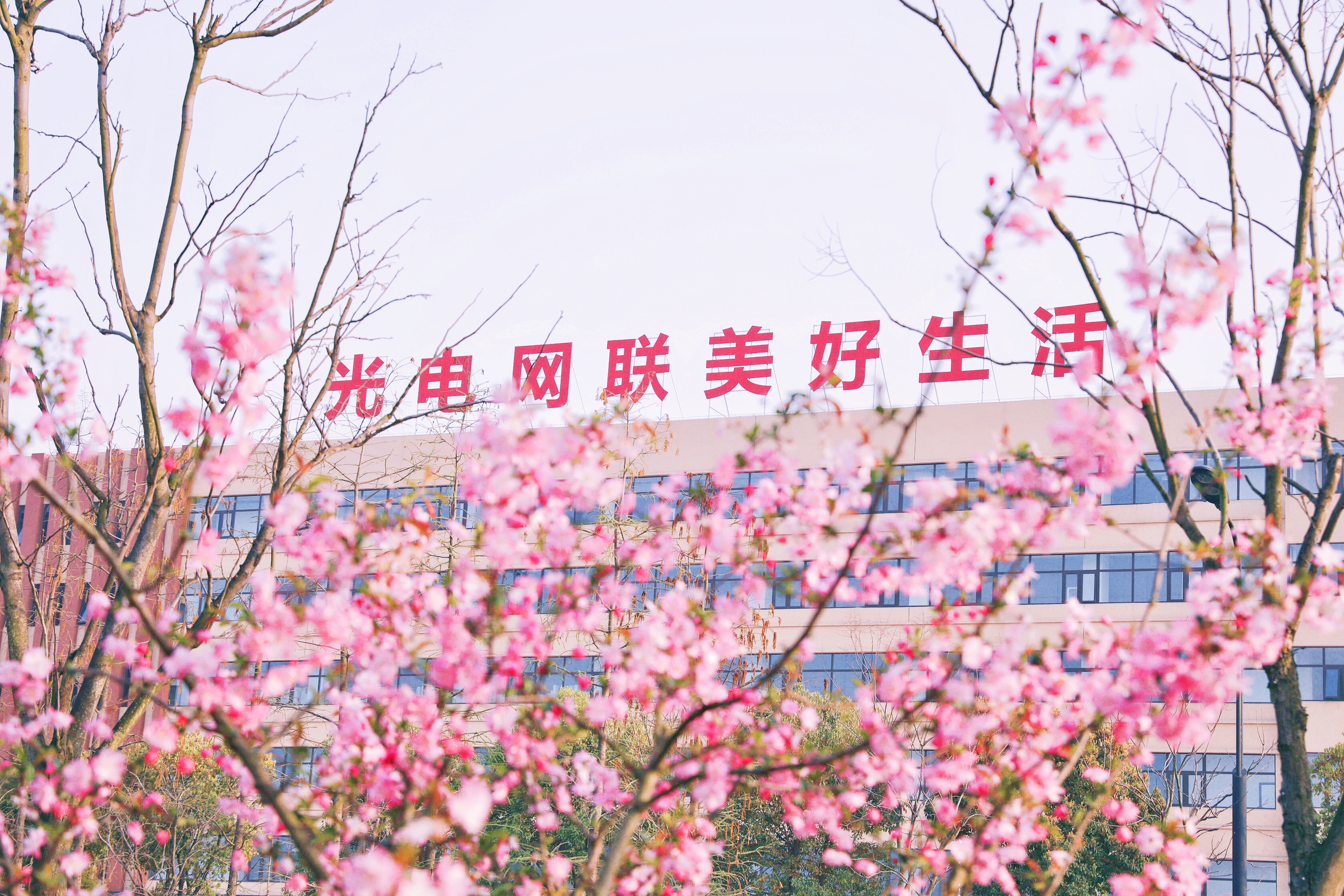 J9集团直营·(中国)官方网站