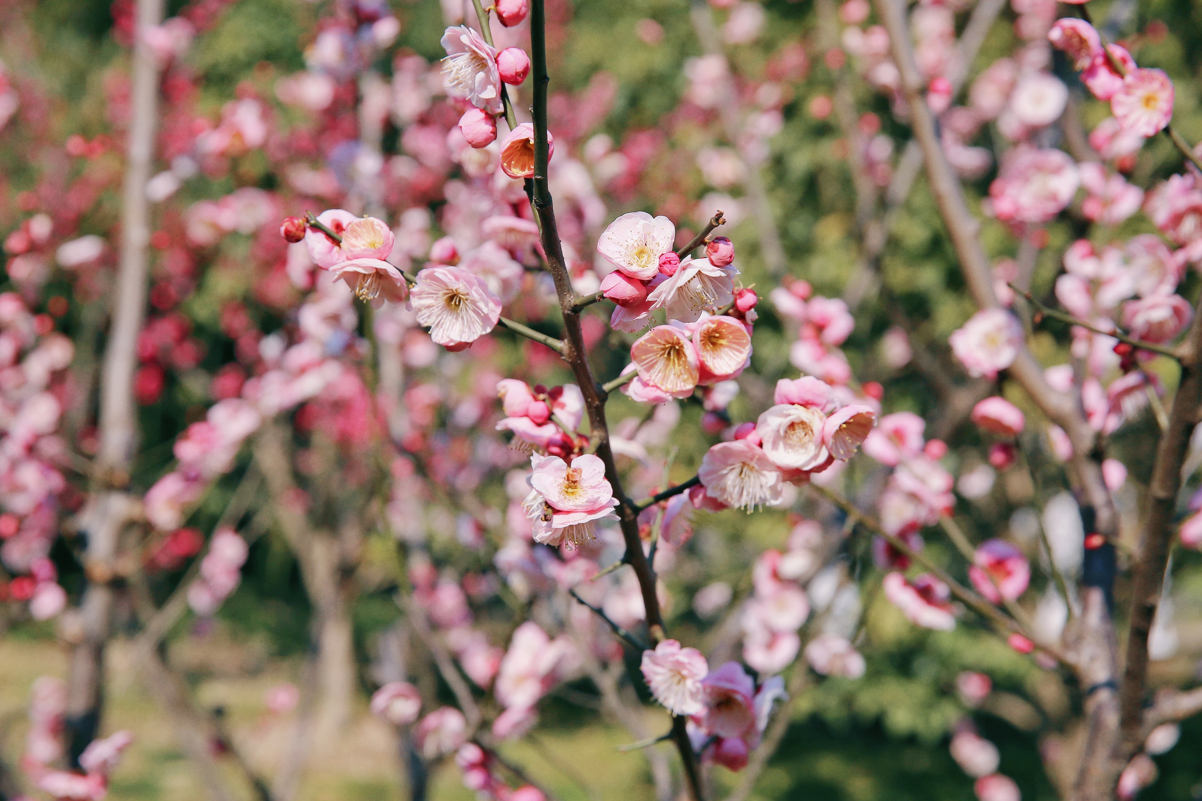 J9集团直营·(中国)官方网站